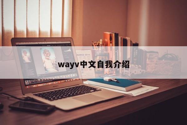 wayv中文自我介绍