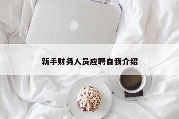 新手财务人员应聘自我介绍