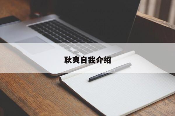 耿爽自我介绍